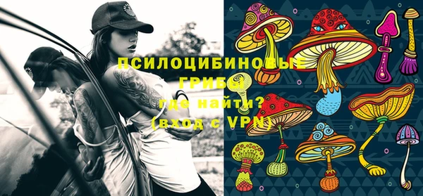 mdpv Покровск
