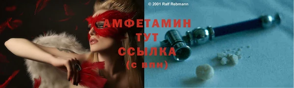 индика Покачи
