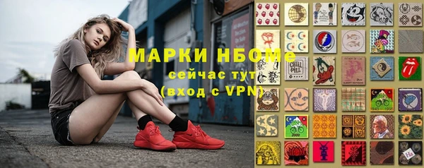 гидра Алексин