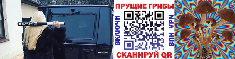 МЕГА ONION  Навашино  Псилоцибиновые грибы Psilocybine cubensis 